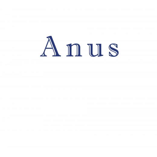 Aufkleber selber gestalten - Arbeitsfläche 100cm x 100cm