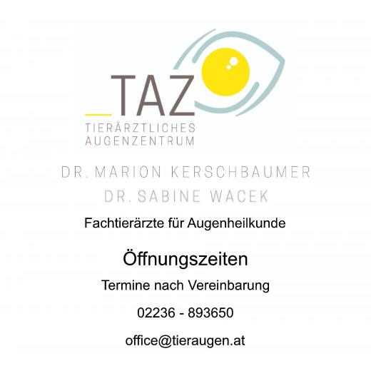 Aufkleber selber gestalten - Arbeitsfläche 50cm x 50cm