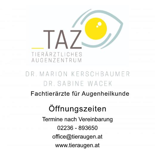 Aufkleber selber gestalten - Arbeitsfläche 50cm x 50cm