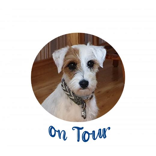 Aufkleber selber gestalten - Arbeitsfläche 50cm x 50cm