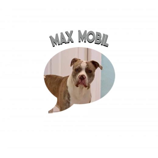 Aufkleber selber gestalten - Arbeitsfläche 50cm x 50cm