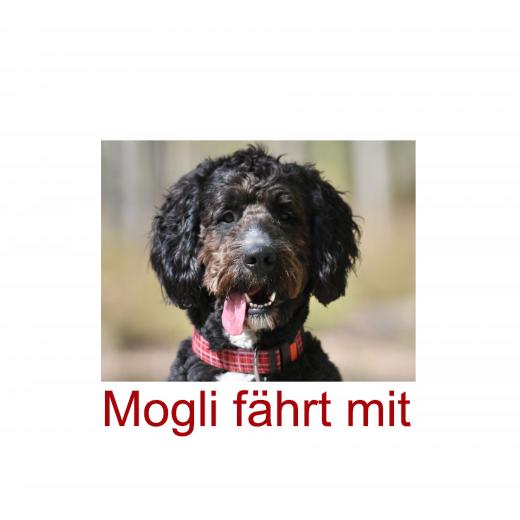 Aufkleber selber gestalten - Arbeitsfläche 50cm x 50cm