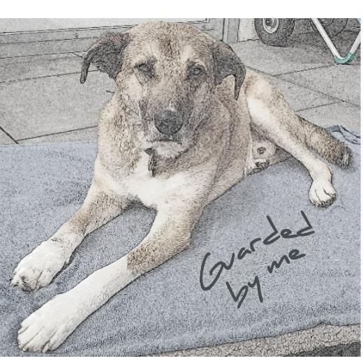 Aufkleber selber gestalten - Arbeitsfläche 25cm x 25cm