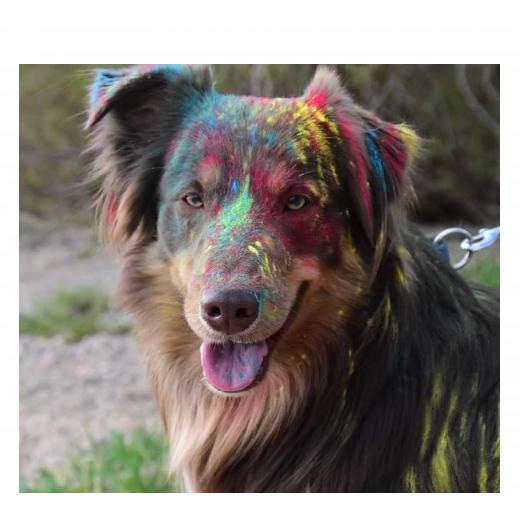 Aufkleber selber gestalten - Arbeitsfläche 50cm x 50cm