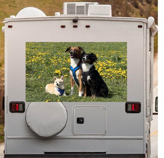 Wohnmobil Aufkleber selber gestalten