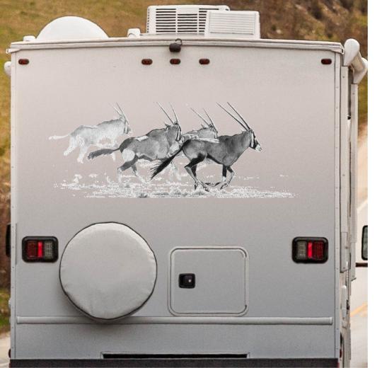 Wohnmobil Aufkleber selber gestalten