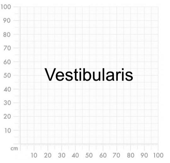 Aufkleber selber gestalten