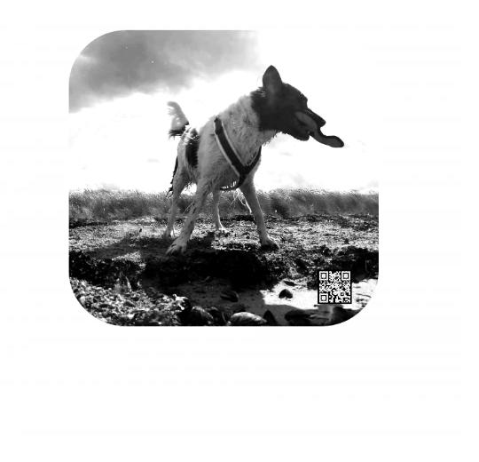 Aufkleber selber gestalten - Arbeitsfläche 25cm x 25cm