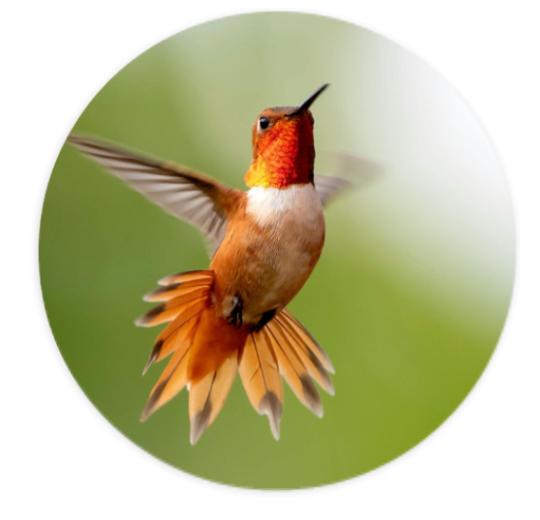 Aufkleber Rund 10cm - Eigenes Design