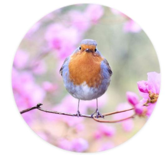 Aufkleber Rund 10cm - Eigenes Design