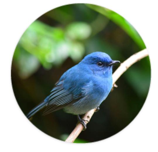 Aufkleber Rund 10cm - Eigenes Design