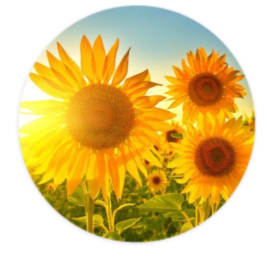 Aufkleber Rund 10cm - Eigenes Design