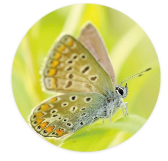 Aufkleber Rund 10cm - Eigenes Design