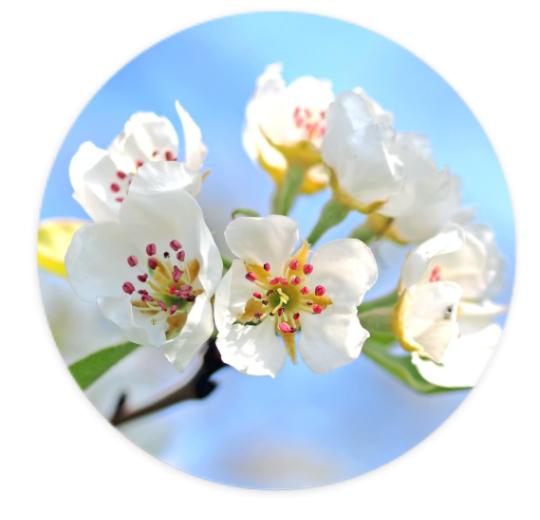 Aufkleber Rund 10cm - Eigenes Design