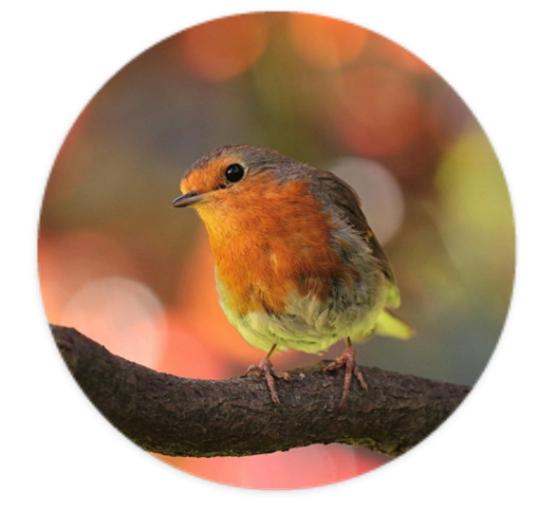 Aufkleber Rund 10cm - Eigenes Design