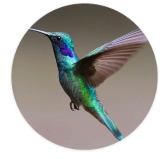 Aufkleber Rund 10cm - Eigenes Design