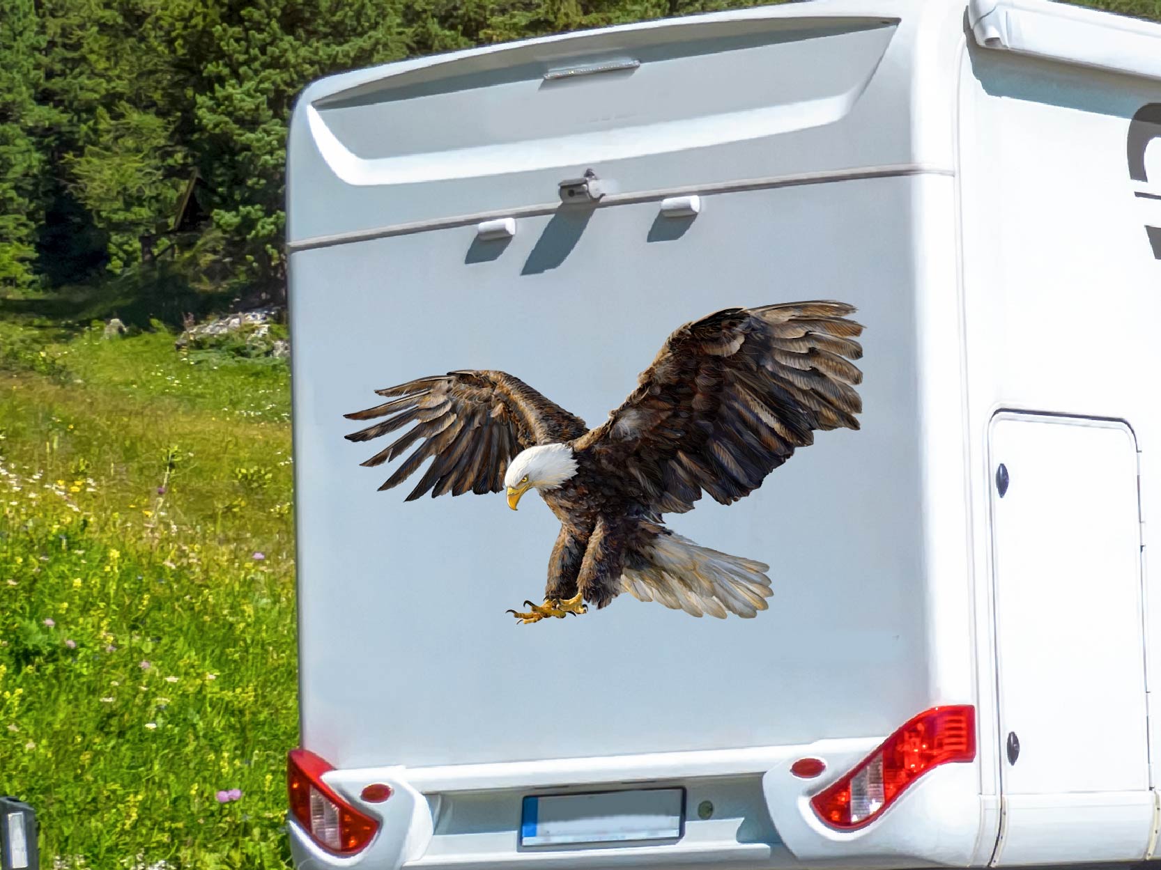 Wohnmobil Aufkleber Weißkopfseeadler