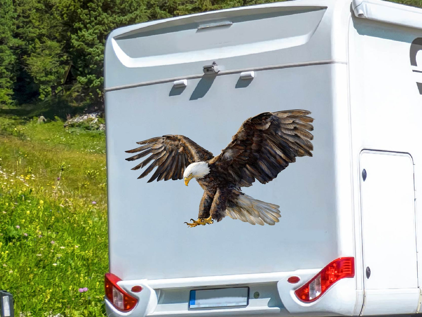 Wohnmobil Aufkleber Weißkopfseeadler