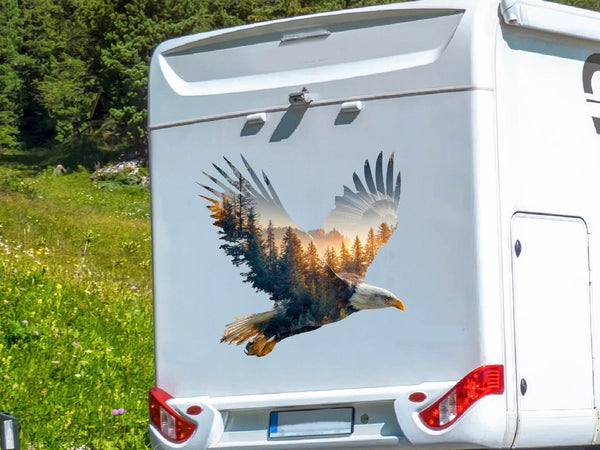 Wohnmobil Aufkleber Seeadler mit Landschaft