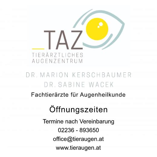 Aufkleber selber gestalten - Arbeitsfläche 50cm x 50cm