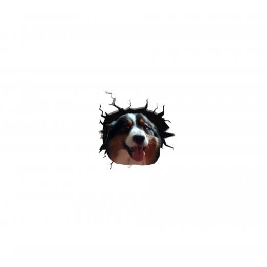 Autoaufkleber selber gestalten