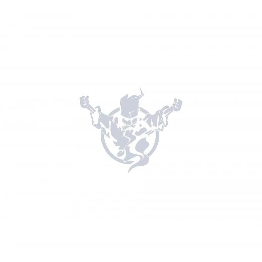 Autoaufkleber selber gestalten