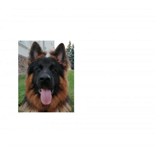 Aufkleber selber gestalten - Arbeitsfläche 50cm x 50cm