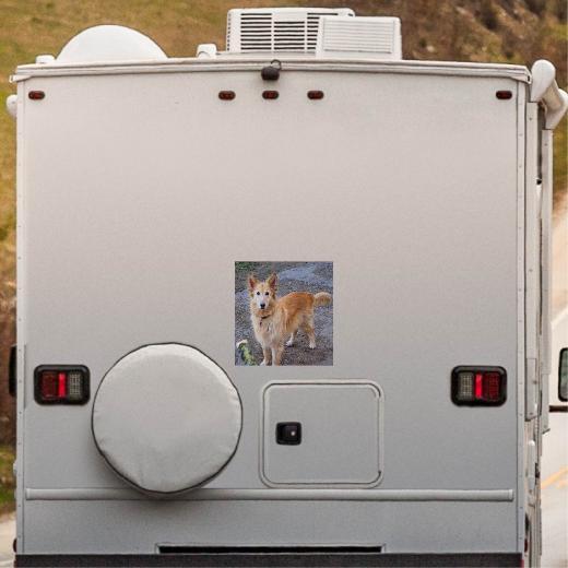 Wohnmobil Aufkleber selber gestalten