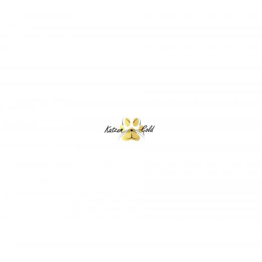 Autoaufkleber selber gestalten