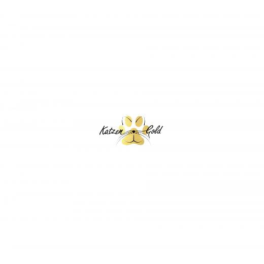 Autoaufkleber selber gestalten