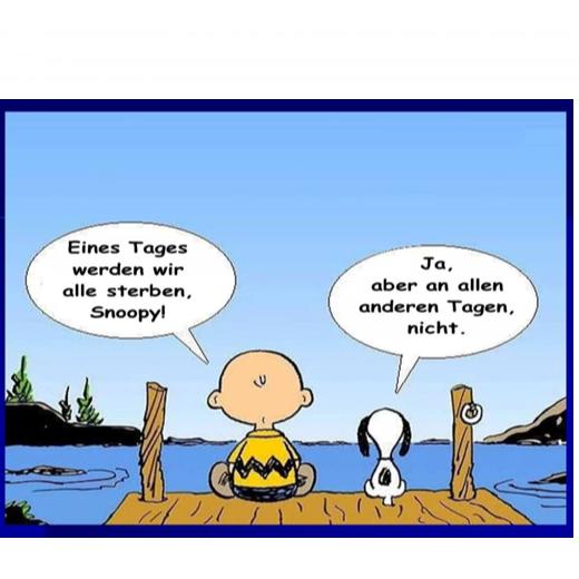 Autoaufkleber selber gestalten