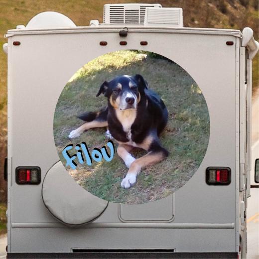 Wohnmobil Aufkleber selber gestalten