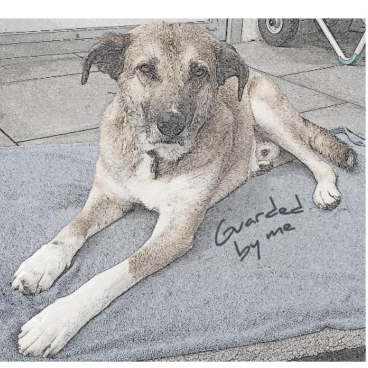 Aufkleber selber gestalten - Arbeitsfläche 25cm x 25cm