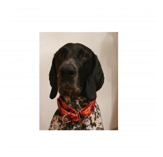 Aufkleber selber gestalten - Arbeitsfläche 25cm x 25cm