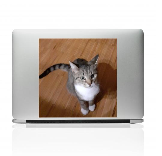 Laptop Aufkleber selber gestalten