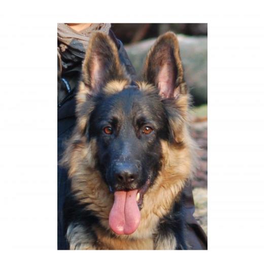 Aufkleber selber gestalten - Arbeitsfläche 25cm x 25cm