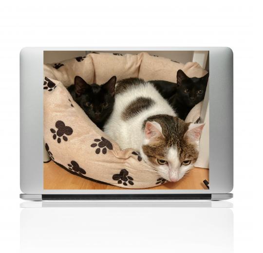 Laptop Aufkleber selber gestalten