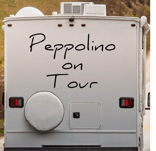 Wohnmobil Aufkleber selber gestalten