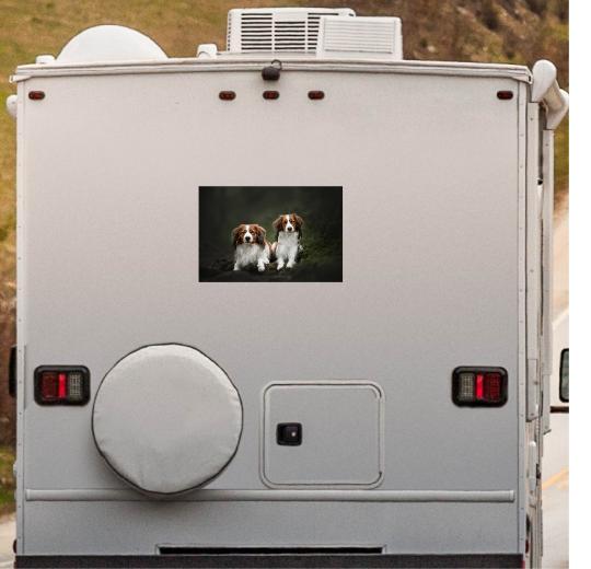 Wohnmobil Aufkleber selber gestalten