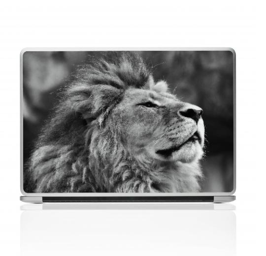 Laptop Aufkleber selber gestalten