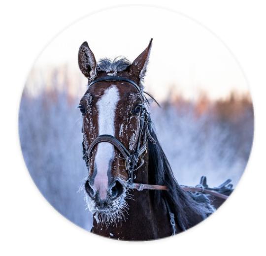 Aufkleber Rund 10cm - Eigenes Design