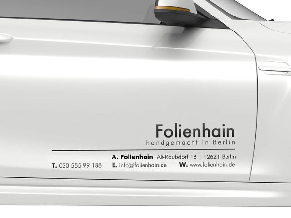 Autobeschriftung Seitentür Firmenname Linie 2er Set Beifahrerseite