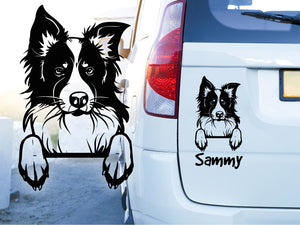 Pegatina Para Coche Border Collie #2