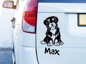 Autoaufkeber Hund Havaneser 