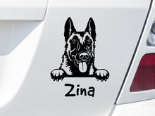 Cargue la imagen en el visor de la galería, pegatina de coche Perro malinois con el nombre deseado