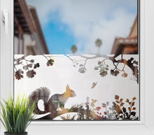 Cargue la imagen en el visor de la galería, Frosted Glass Squirrel on Branch Privacy Screen Film