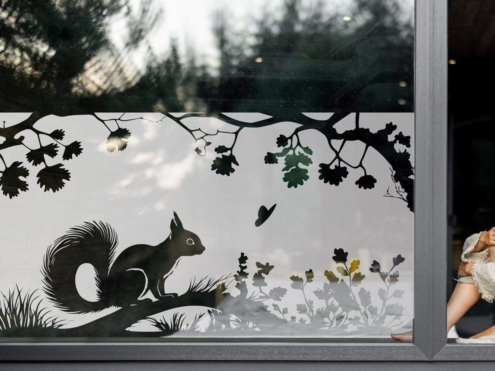 Milchglasfolie Eichhörnchen auf Ast Sichtschutzfolie – Folienhain | Bilder
