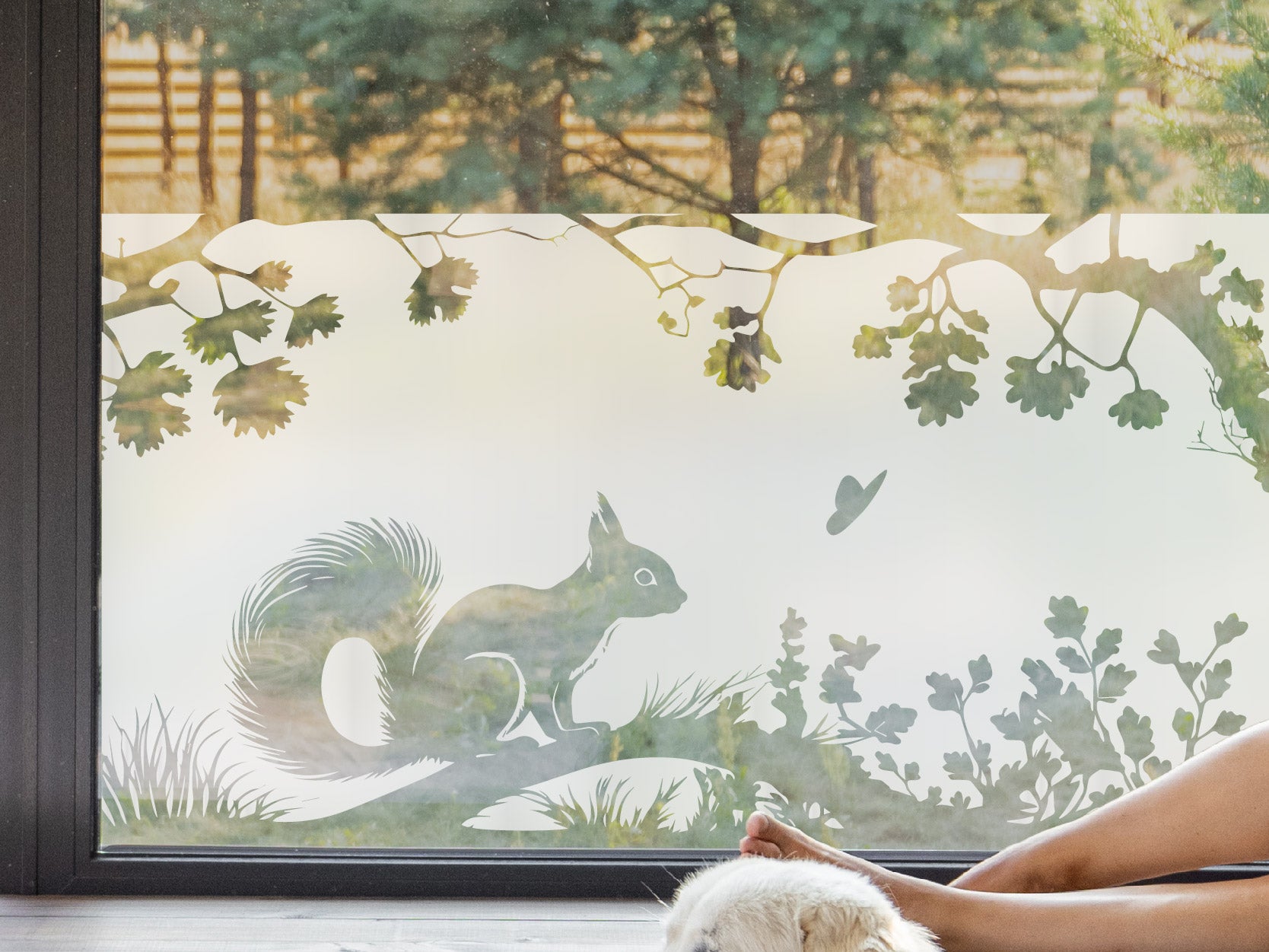 Milchglasfolie Eichhörnchen auf Ast Sichtschutzfolie – Folienhain | Bilder