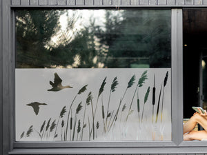 Película de vidrio esmerilado Hierbas con gansos película de privacidad