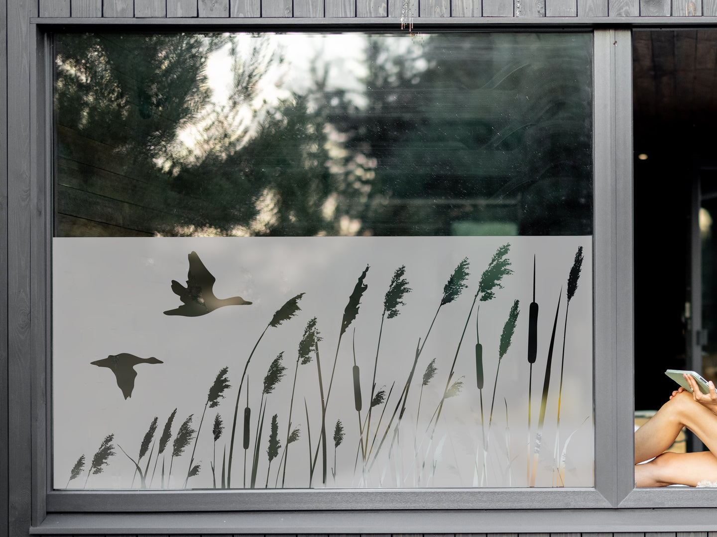 Milchglasfolie Gräser mit Gänsen Sichtschutzfolie